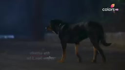 Silsila Badalte Rishton Ka S01 E163 Pari lands herself in trouble