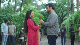 Tharala Tar Mag S01 E902 Arjun's Romantic Proposal to Sayali
