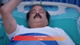 Veera (Zee Tamil) S01 E403 11th August 2025