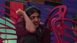 Bigg Boss Telugu (Star Maa) S00 E12 BBTel Day 11: The Paint Battle