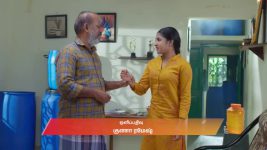 Chinnan Siru Kiliye S01 E42 17th September 2025