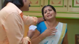 Chinnan Siru Kiliye S01 E47 24th September 2025
