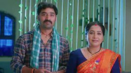 Chinni (Star Maa) S01 E370 Deva Threatens Balaraju