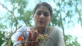 Chirodini Tumi Je Amar (Zee Bangla) S01 E196 21st September 2025