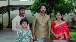 Dheerga Sumangli Bhava (Zee Telugu) S01 E145 22nd September 2025