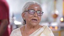 Idhayam S01 E779 4th September 2025