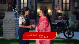 Illu Illalu Pillalu (Star Maa) S01 E273 Vishwa Seeks Revenge