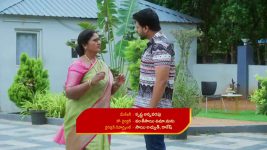Intinti Ramayanam (Star Maa) S01 E390 Avani Defends Akshay