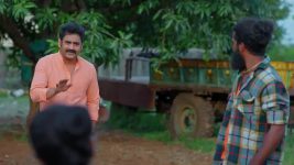 Maguva O Maguva S01 E501 Chenchalamma Comforts Nivedha