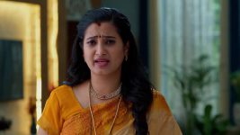 Meghasandesam (Zee Telugu) S01 E411 9th September 2025