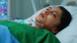Meghasandesam (Zee Telugu) S01 E424 22nd September 2025