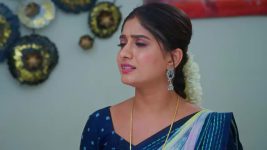 Ninnu Kori (Star Maa) S01 E388 Jagadeswari, Chandrakala Rejoice