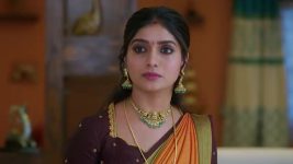Ninnu Kori (Star Maa) S01 E391 Shalini Plots to Insult Chandrakala