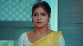 Ninnu Kori (Star Maa) S01 E397 Shalini Defends Chandrakala