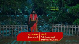 Renuka Yellamma (Star Maa) S01 E726 A Stunner for Mangaladevi