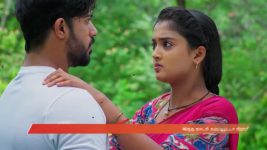 Salangai Oli (Zee Tamil) S01 E71 29th September 2025