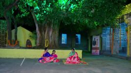 Shravani Subramanya S01 E393 12th September 2025