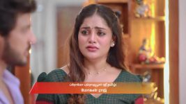 Varisu (Zee Tamil) S01 E55 3rd September 2025
