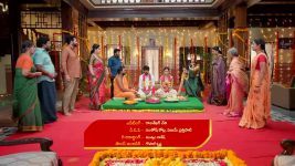 Bhanumathi (Star Maa) S01 E156 Pardhu, Bhanumathi's Joyful Ending Bhanumathi (Star Maa) S01 E156 Pardhu, Bhanumathi's Joyful Ending