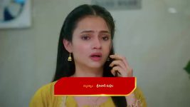 Chinni (Star Maa) S01 E383 Deva, Nagavalli's Cunning Plot