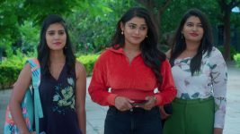 Chinni (Star Maa) S01 E387 Can Lohitha Achieve Success?