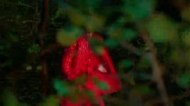 Kabhi Neem Neem Kabhi Shehad Shehad S01 E87 UV's Struggle to Save Katha
