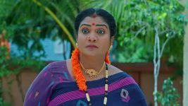 Maguva O Maguva S01 E480 Renuka, Dayakar's Heinous Plan