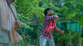Maguva O Maguva S01 E503 Veerabadhram's Fight for Nivedha