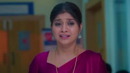 Ninnu Kori (Star Maa) S01 E395 Chandrakala's Heartfelt Prayer