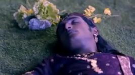 Radha Krishna (Tamil) S01E38 Krishna Is Furious Full Episode