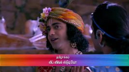 Radha Krishna (Tamil) S01E79 Radha's Revelation Full Episode