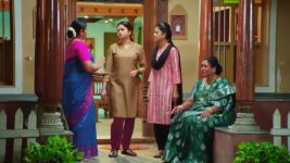 Anna (Tamil) S01 E801 21st October 2025