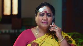 Anna (Tamil) S01 E802 22nd October 2025