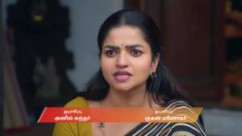 Anna (Tamil) S01 E806 28th October 2025