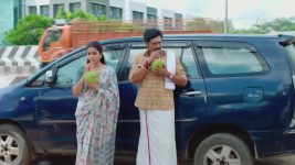 Anna (Tamil) S01 E809 31st October 2025