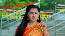 Annapoorna S01 E997 23rd October 2025