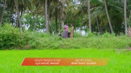 Annayya (Zee Kannada) S01 E309 13th October 2025