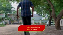 Gunde Ninda Gudi Gantalu S01 E537 Meena to the Rescue