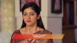 Idhayam S01 E810 13th October 2025