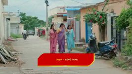 Illu Illalu Pillalu (Star Maa) S01 E303 Bhadravathi, Senapathi in Joy