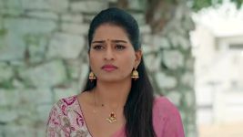 Illu Illalu Pillalu (Star Maa) S01 E304 A Relief for Prema
