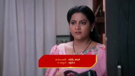 Intinti Ramayanam (Star Maa) S01 E417 Avani Remains Adamant