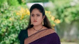 Jagadhatri (zee telugu) S01 E654 29th October 2025