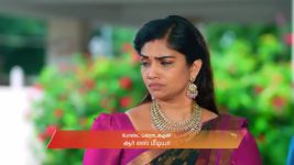 Karthigai Deepam S01 E1015 25th October 2025