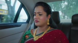 Ninnu Kori (Star Maa) S01 E416 Chandrakala Backs Swetha