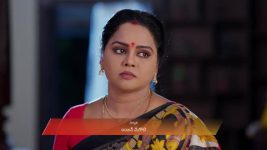 Padamati Sandhyaragam S01 E984 16th October 2025