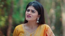 Pinga Ga Pori Pinga S01 E322 Reunion of Pinga Girls