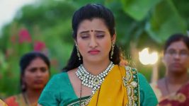 Salangai Oli (Zee Tamil) S01 E108 23rd October 2025