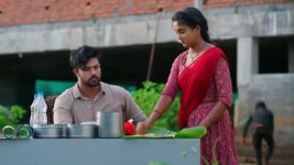 Salangai Oli (Zee Tamil) S01 E109 24th October 2025