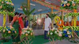 Salangai Oli (Zee Tamil) S01 E88 10th October 2025